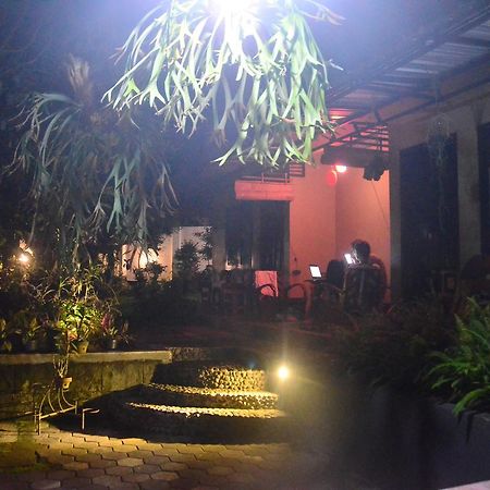 Banyu Homestay Banyuwangi  Kültér fotó