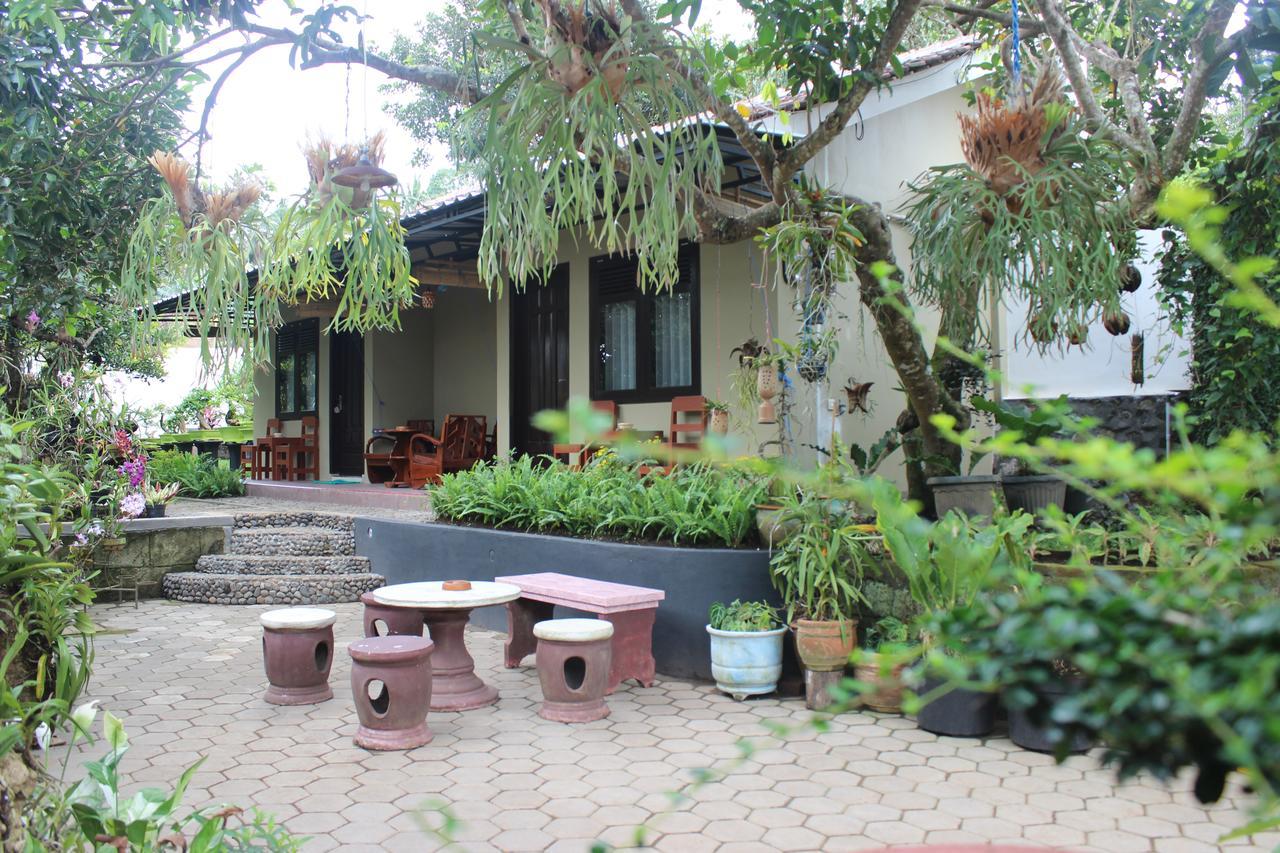 Banyu Homestay Banyuwangi  Kültér fotó