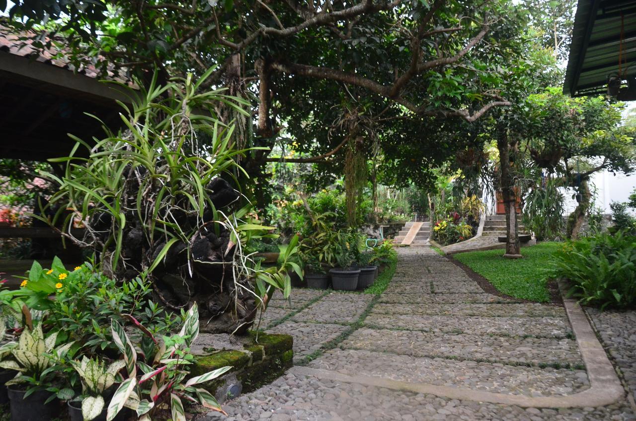 Banyu Homestay Banyuwangi  Kültér fotó