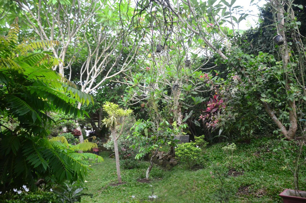 Banyu Homestay Banyuwangi  Kültér fotó