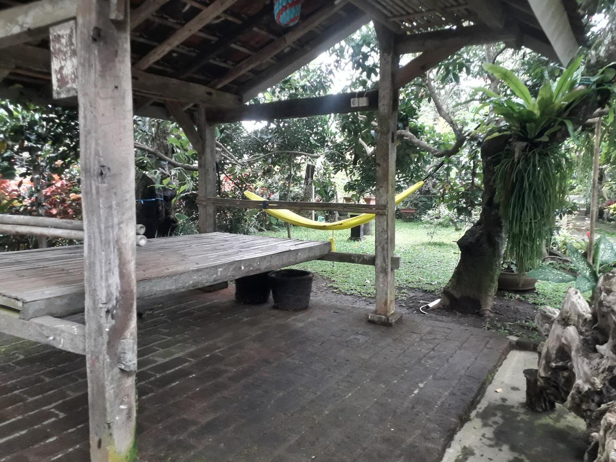 Banyu Homestay Banyuwangi  Kültér fotó