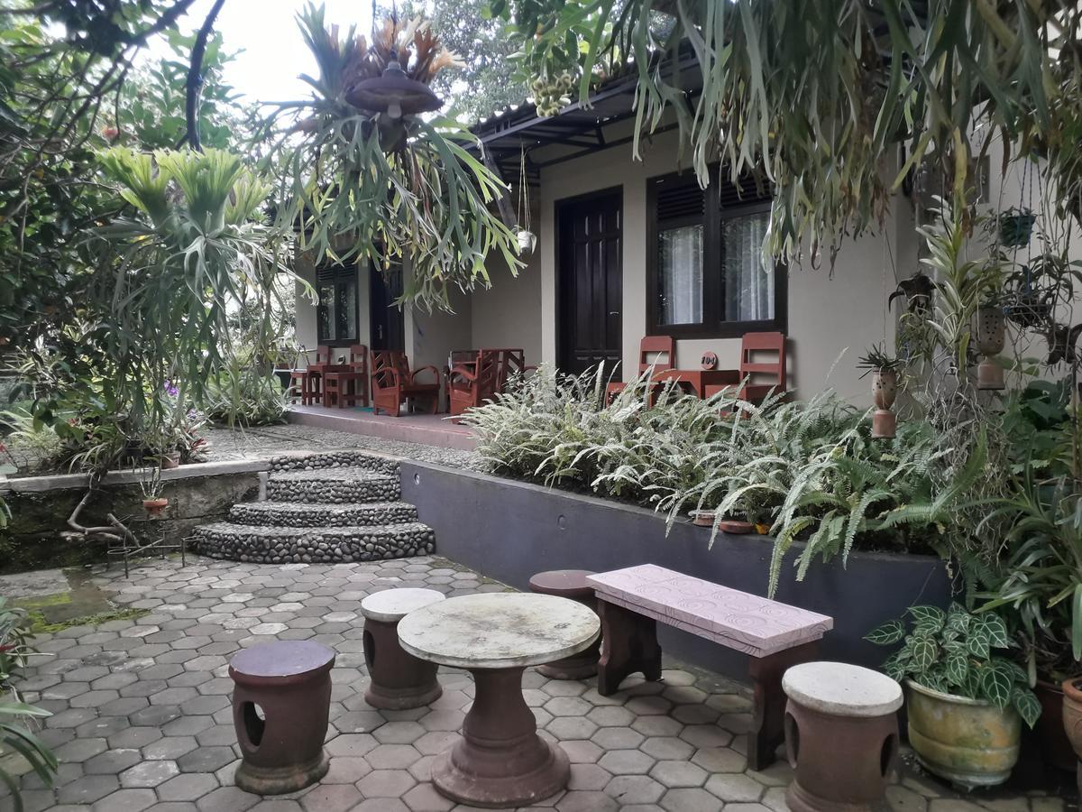 Banyu Homestay Banyuwangi  Kültér fotó
