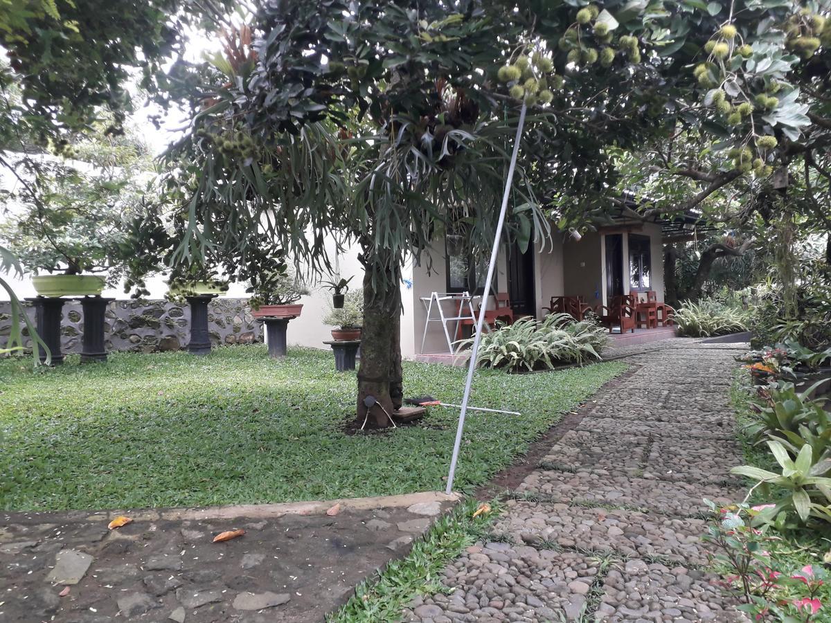 Banyu Homestay Banyuwangi  Kültér fotó