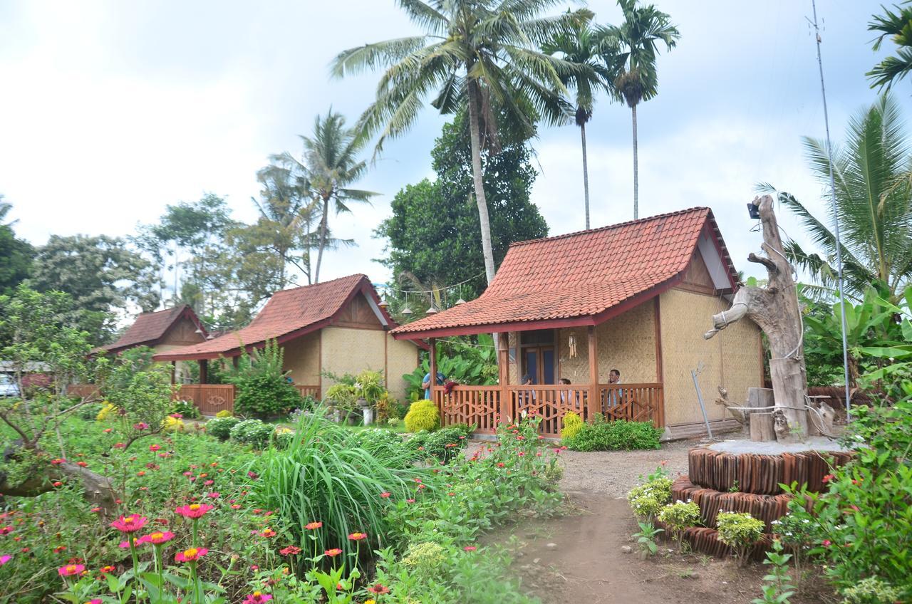 Banyu Homestay Banyuwangi  Kültér fotó