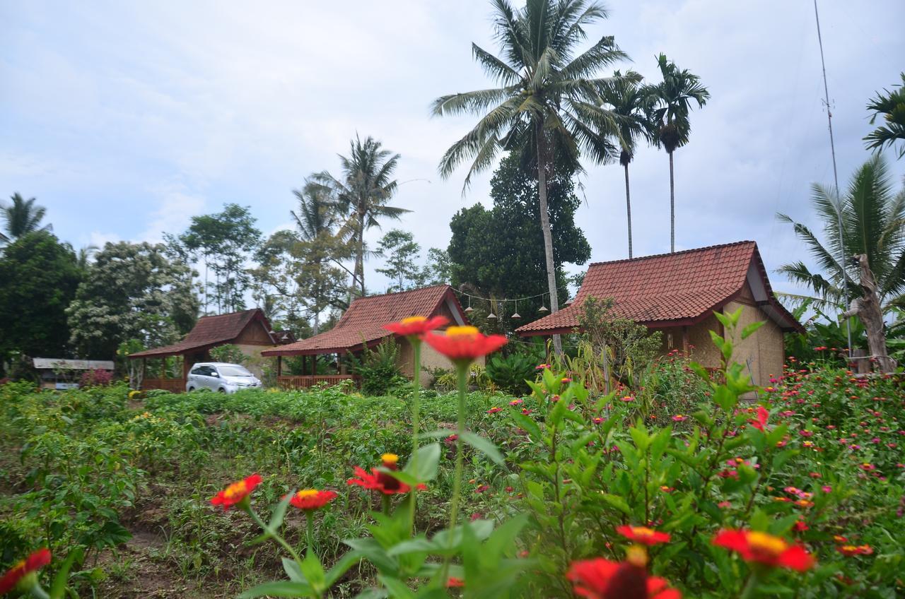 Banyu Homestay Banyuwangi  Kültér fotó