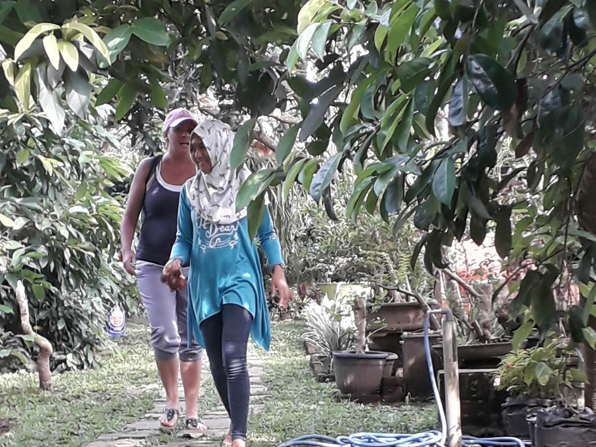 Banyu Homestay Banyuwangi  Kültér fotó