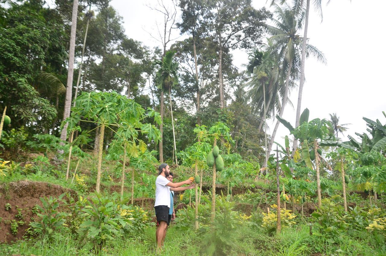 Banyu Homestay Banyuwangi  Kültér fotó