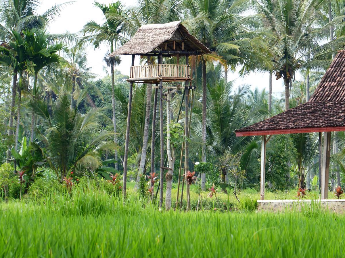 Banyu Homestay Banyuwangi  Kültér fotó