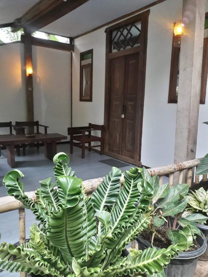 Banyu Homestay Banyuwangi  Kültér fotó