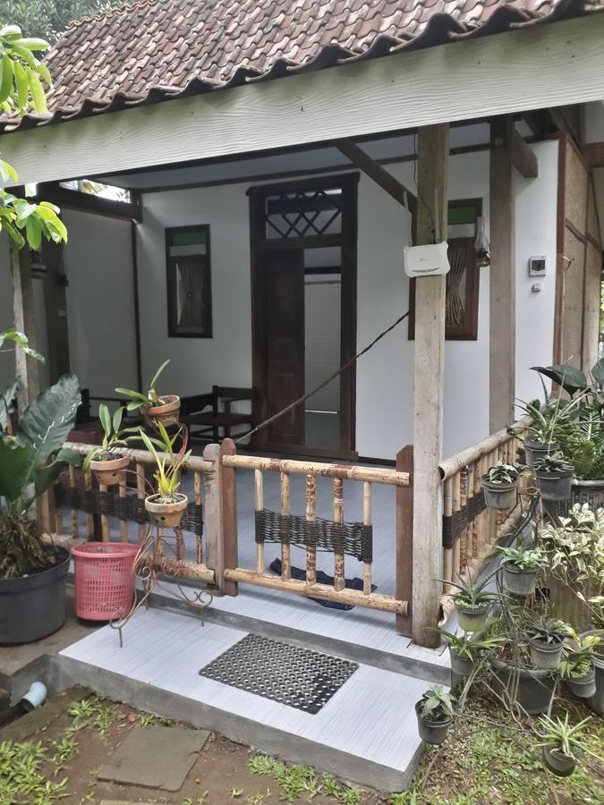Banyu Homestay Banyuwangi  Kültér fotó