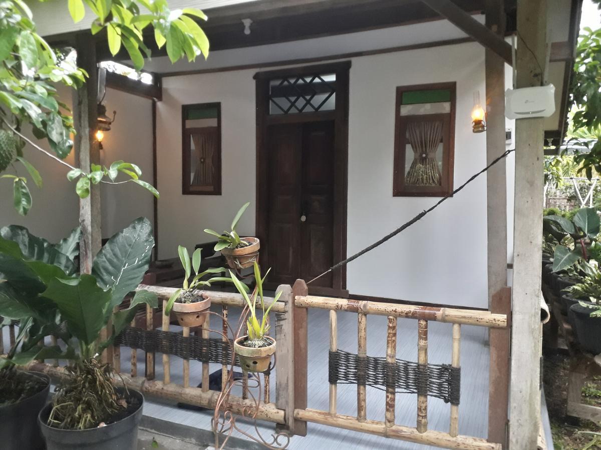 Banyu Homestay Banyuwangi  Kültér fotó